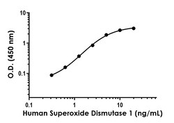 Abcam&nbsp;Human Superoxide Dismutase 1 Antibody Pair - BSA and Azide free, 10 x 96 Tests