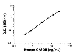 Abcam&nbsp;Human GAPDH Antibody Pair - BSA and Azide free, 10 x 96 Tests