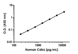 Abcam&nbsp;Human Cdk6 Antibody Pair - BSA and Azide free, 10 x 96 Tests