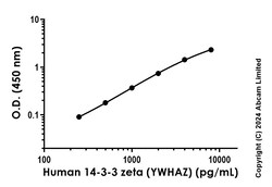 Abcam&nbsp;Human 14-3-3 zeta (YWHAZ) Antibody Pair - BSA and Azide free, 10 x 96 Tests