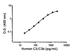 Abcam&nbsp;Human C3/C3b Antibody Pair - BSA and Azide free, 10 x 96 Tests