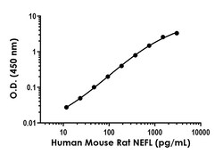 Abcam&nbsp;NEFL Antibody Pair - BSA and Azide Free, 10 x 96 Tests