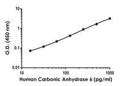 Abcam&nbsp;Human Carbonic Anhydrase 6 Antibody Pair - BSA and Azide free (CA6), 10 x 96 Tests