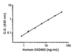Abcam&nbsp;Human GSDMD Antibody Pair - BSA and Azide free, 10 x 96 Tests
