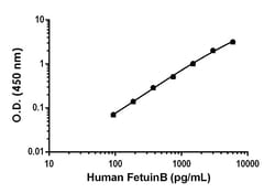 Abcam&nbsp;Human Fetuin B Antibody Pair - BSA and Azide free, 10 x 96 Tests