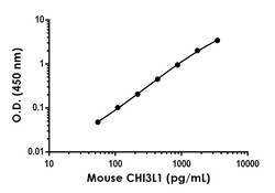 Abcam&nbsp;Mouse YKL-40 / CHI3L1 Antibody Pair - BSA and Azide free, 10 x 96 Tests