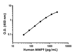 Abcam&nbsp;Human MMP9 Antibody Pair - BSA and Azide free, 10 x 96 Tests