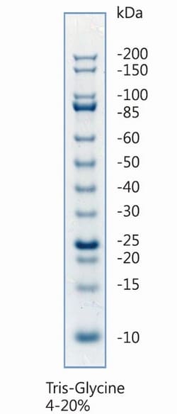 Abcam&nbsp;Unstained Protein Ladder (10 - 200 kDa), 500UL