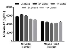 Abcam&nbsp;Mouse Annexin A2 ELISA Kit, 1 x 96 Tests