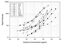 Abcam&nbsp;Porcine Cytokine Antibody Array A (10 Targets) - Quantitative