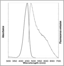 Abcam&nbsp;Nucleolar Staining Kit - Green Fluorescence - Cytopainter