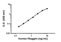Abcam&nbsp;Human Filaggrin Antibody Pair - BSA and Azide free, 10 x 96 Tests