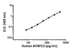 Abcam&nbsp;Human MYBPC3 Antibody Pair - BSA and Azide free, 10 x 96 Tests