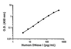 Abcam&nbsp;Human DNase I Antibody Pair - BSA and Azide free, 10 x 96 Tests