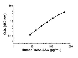 Abcam&nbsp;Human TMS1/ASC Antibody Pair - BSA and Azide free, 10 x 96 Tests