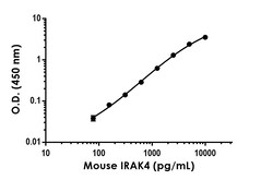 Abcam&nbsp;Mouse IRAK4 Antibody Pair - BSA and Azide free, 10 x 96 Tests