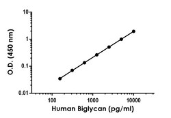 Abcam&nbsp;Human Biglycan Antibody Pair - BSA and Azide free, 10 x 96 Tests