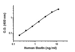 Abcam&nbsp;Human Elastin Antibody Pair - BSA and Azide free, 10 x 96 Tests