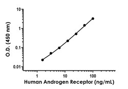 Abcam&nbsp;Human Androgen Receptor Antibody Pair - BSA and Azide free, 10 x 96 Tests