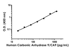 Abcam&nbsp;Human Carbonic Anhydrase 9/CA9 Antibody Pair - BSA and Azide free, 10 x 96 Tests