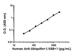 Abcam&nbsp;Human Anti-Ubiquitin+1/UBB+1  Antibody Pair - BSA and Azide free, 10 x 96 Tests