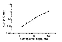 Abcam&nbsp;Moesin Antibody Pair - BSA and Azide free, 10 x 96 Tests