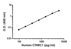 Abcam&nbsp;Human CTHRC1 Antibody Pair - BSA and Azide free, 10 x 96 Tests