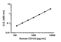Abcam&nbsp;Human CD163 Antibody Pair - BSA and Azide free, 10 x 96 Tests