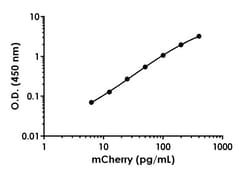 Abcam&nbsp;mCherry Antibody Pair - BSA and Azide free, 10 x 96 Tests