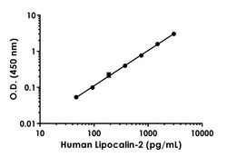 Abcam&nbsp;Human/Monkey Lipocalin-2 Antibody Pair - BSA and Azide free, 10 x 96 Tests