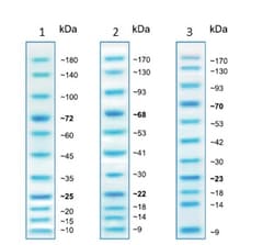 Abcam&nbsp;Prestained Protein Ladder - Mid-range molecular weight (10 - 180 kDa), 500UL
