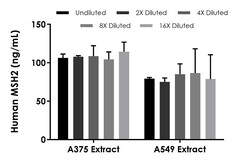 Abcam&nbsp;Human MSH2 ELISA Kit, 1 x 96 Tests
