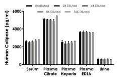 Abcam&nbsp;Human Colipase ELISA Kit, 1 x 96 Tests