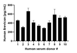Abcam Human Brevican ELISA Kit, 1 x 96 Tests
