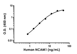 Abcam Human NCAM1 Antibody Pair - BSA and Azide free, 10 x 96 Tests