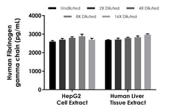 Abcam Human Fibrinogen gamma chain ELISA Kit - Intracellular, 1 x 96 Tests