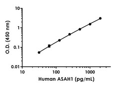 Abcam Human ASAH1 ELISA Kit, 1 x 96 Tests, Quantity: Each of 1