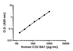 Abcam Human COL18A1 ELISA Kit, 1 x 96 Tests