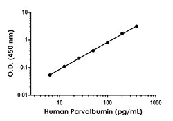 Abcam Human Parvalbumin ELISA Kit, 1 x 96 Tests