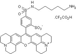Abcam Sulforhodamine 101 cadaverine trifluoroacetic salt, 5MG