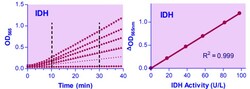 Abcam Isocitrate Dehydrogenase Assay Kit.