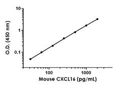 Abcam&nbsp;Mouse CXCL16 Antibody Pair - BSA and Azide free, 10 x 96 Tests