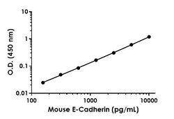 Abcam&nbsp;Mouse/Rat E-Cadherin Antibody Pair - BSA and Azide free, 10 x 96 Tests