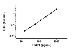 Abcam&nbsp;Mouse TIMP-1 Antibody Pair - BSA and Azide free, 10 x 96 Tests