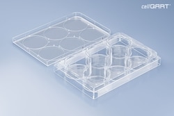 Altenloh Brinck & Co US INC.&nbsp;DBA: SABEU 6 well empty plates 4plate (cellQART)