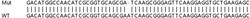 Abcam&nbsp;Human UBE2K (HIP2/LIG) knockout HeLa cell lysate.