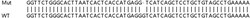 Abcam&nbsp;Human UBE2C knockout HeLa cell lysate.