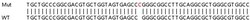 Abcam&nbsp;Human PIK3R2 (PI 3 Kinase p85 beta) knockout HEK-293T cell lysate.