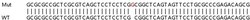 Abcam&nbsp;Human MAP3K11 (MLK3) knockout A549 cell lysate.