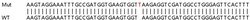 Abcam Human LBR (Lamin B Receptor) knockout HEK-293T cell lysate.